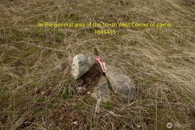 a view of swimming pool and mountain