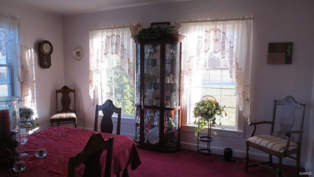 5611 State Rte 150 Steeleville, IL 62288 - Photo 11 of 50