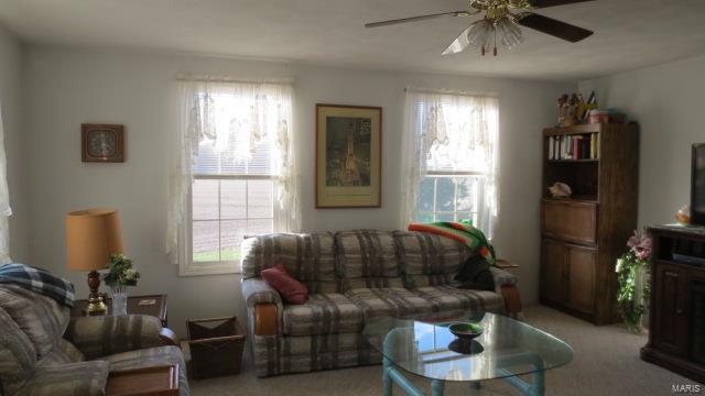 5611 State Rte 150 Steeleville, IL 62288 - Photo 19 of 50
