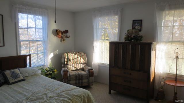 5611 State Rte 150 Steeleville, IL 62288 - Photo 23 of 50