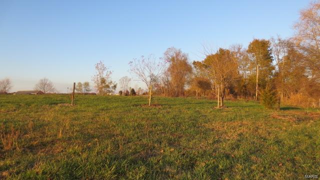 5611 State Rte 150 Steeleville, IL 62288 - Photo 36 of 50