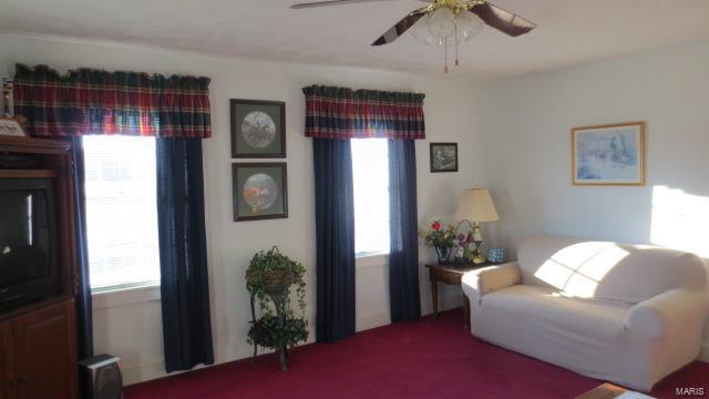 5611 State Rte 150 Steeleville, IL 62288 - Photo 5 of 50