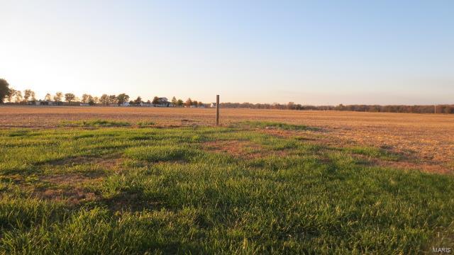 5611 State Rte 150 Steeleville, IL 62288 - Photo 41 of 50