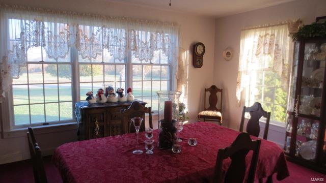 5611 State Rte 150 Steeleville, IL 62288 - Photo 7 of 50