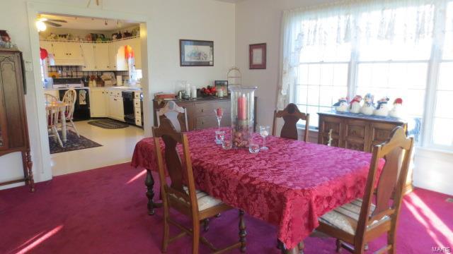 5611 State Rte 150 Steeleville, IL 62288 - Photo 8 of 50