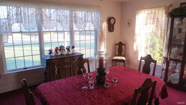 5611 State Rte 150 Steeleville, IL 62288 - Photo 9 of 50