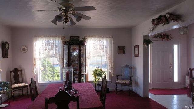 5611 State Rte 150 Steeleville, IL 62288 - Photo 10 of 50