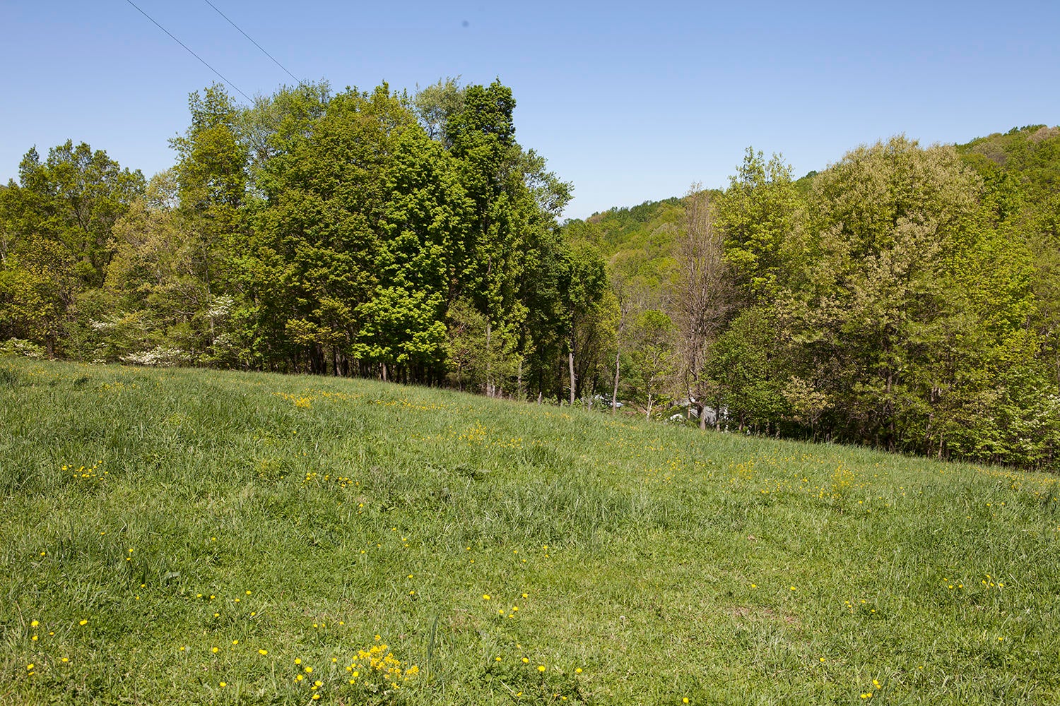 2090 Pete Amos Road Lindside, WV 24951 - Photo 73 of 96 Gallery Image 73