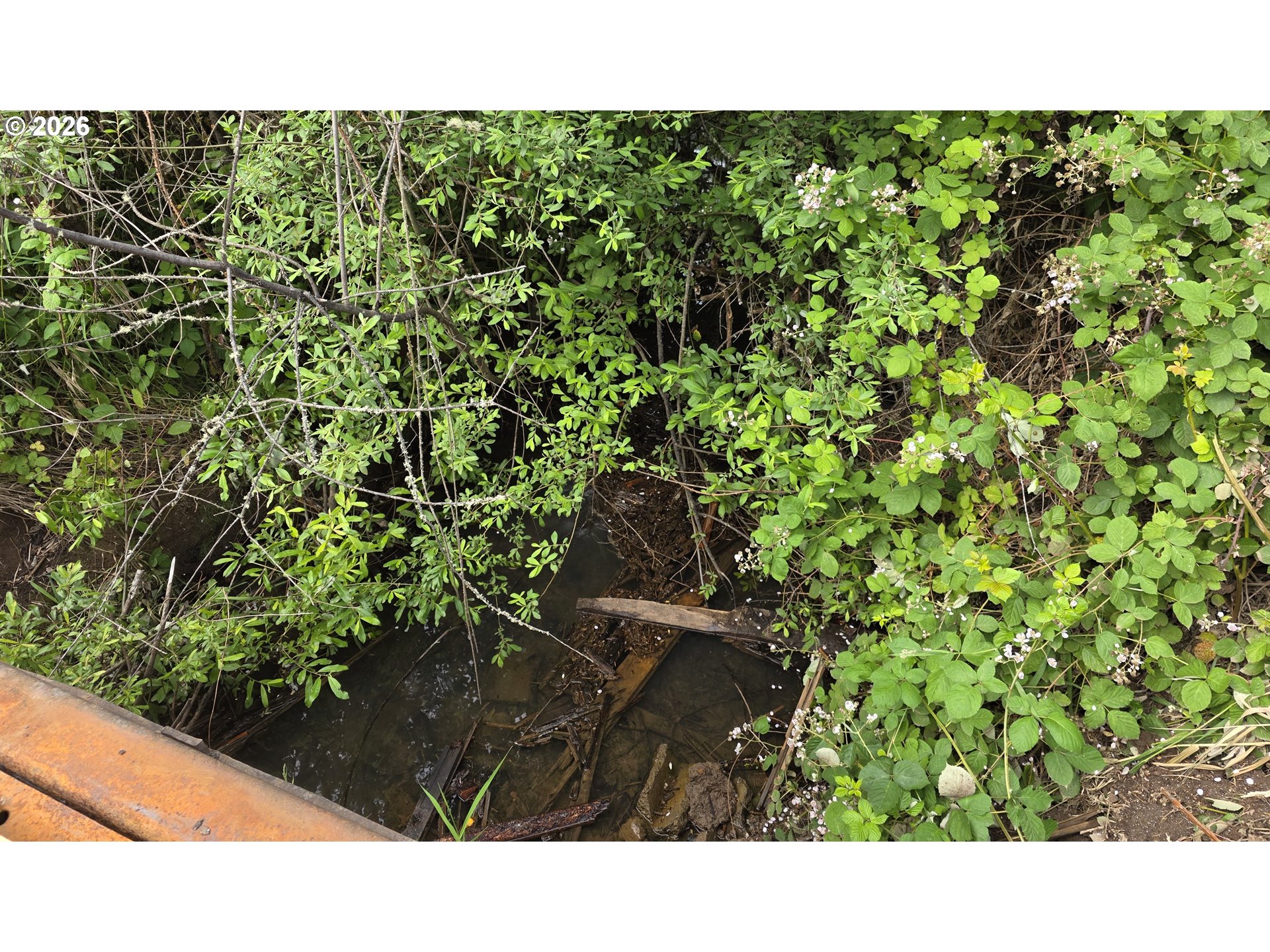 920 Buck Creek Road Drain, OR 97435 - Photo 15 of 18