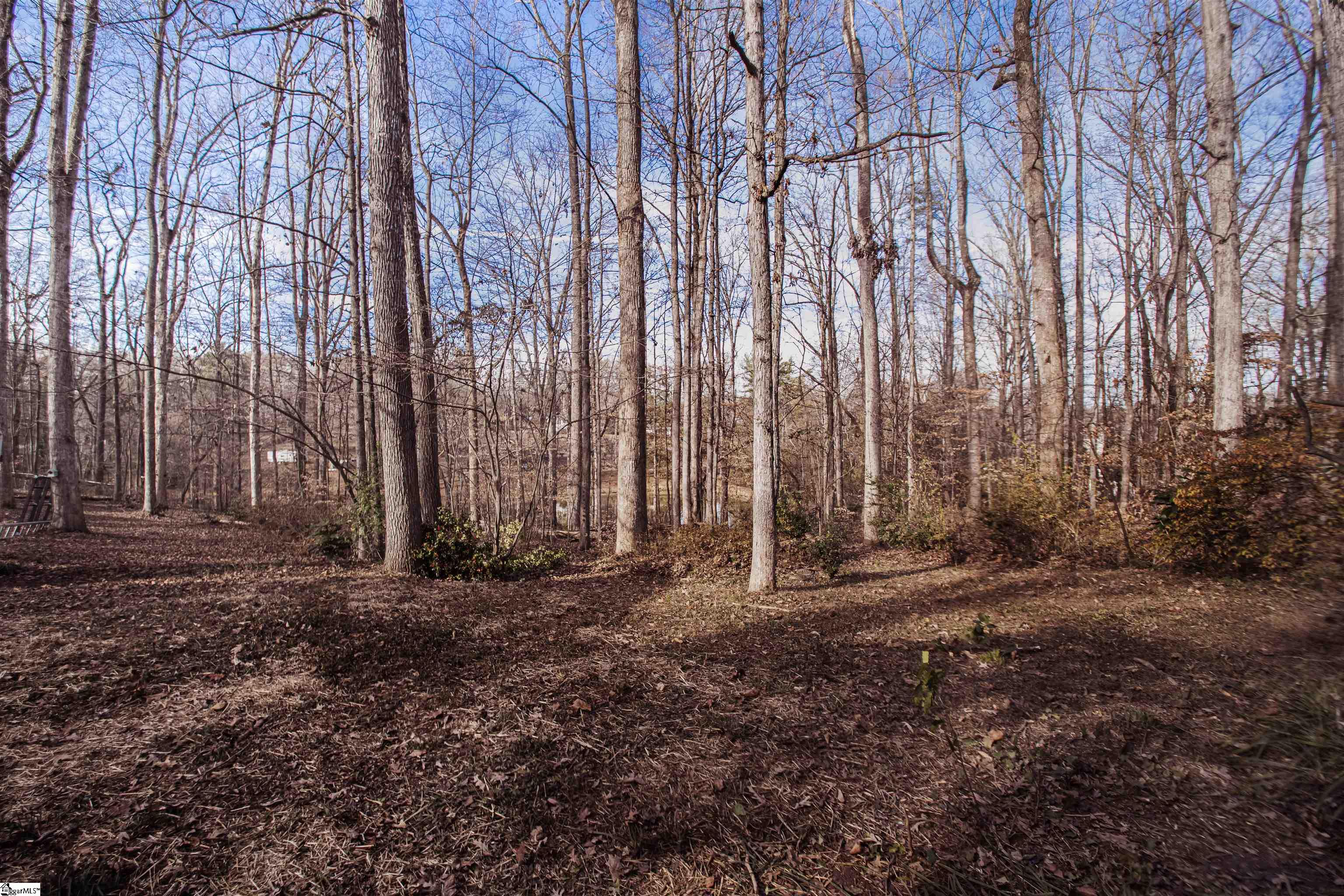 137 Lakeshore Drive Easley, SC 29642 - Photo 18 of 37