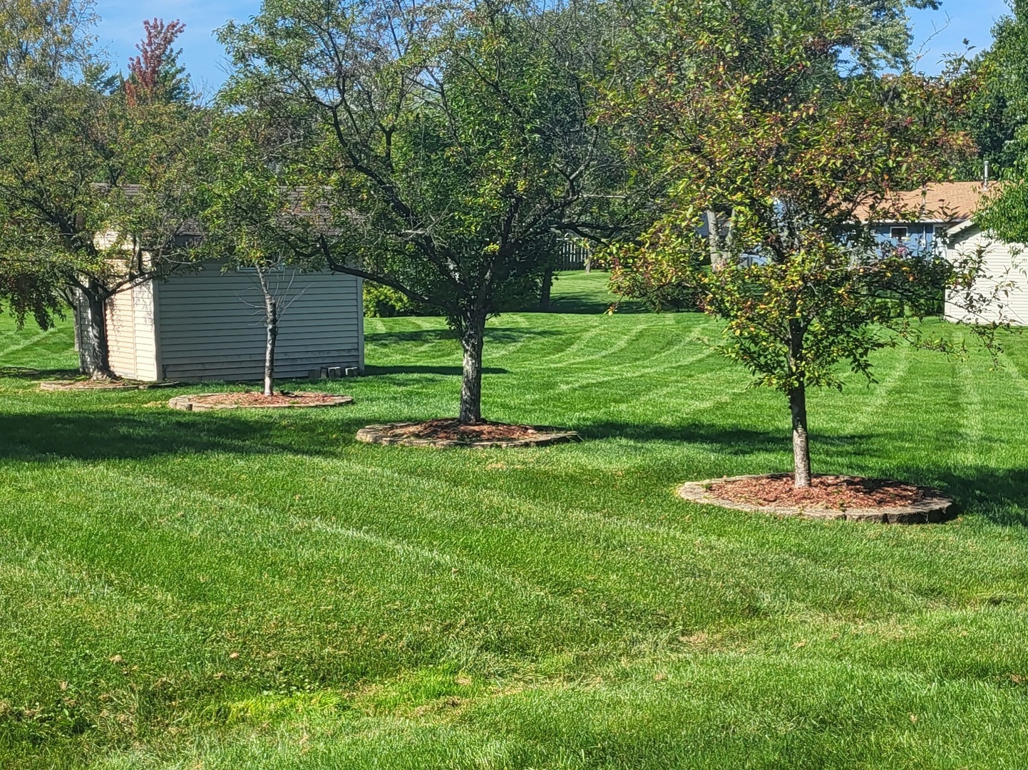 13010 South 85th Ave