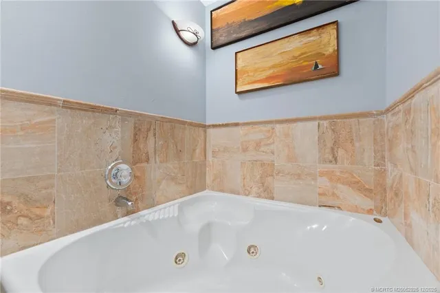 a plant view in yard