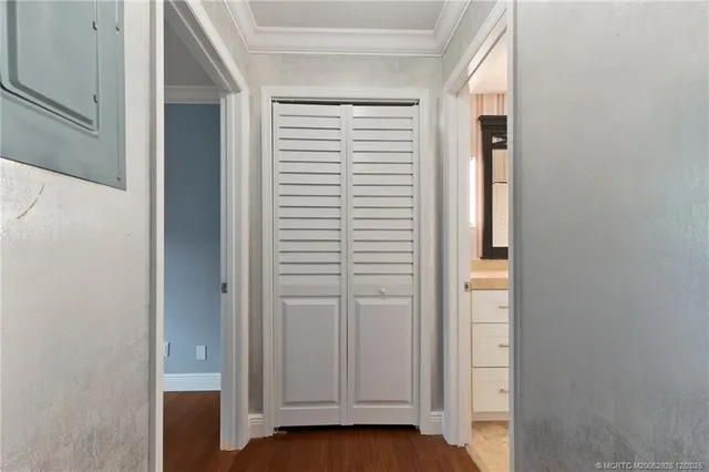 a view of a park with palm trees