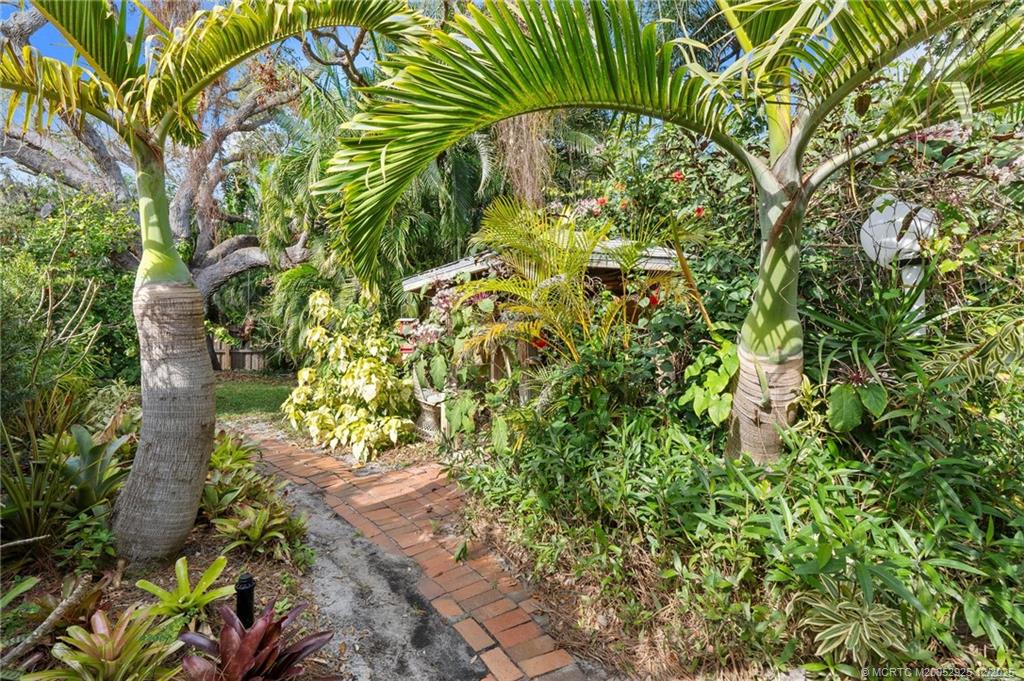 20 Banyan Road Stuart, FL 34996 - Photo 70 of 95 a plant that is in a garden