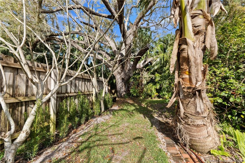 20 Banyan Road Stuart, FL 34996 - Photo 74 of 95 a picture of a tree