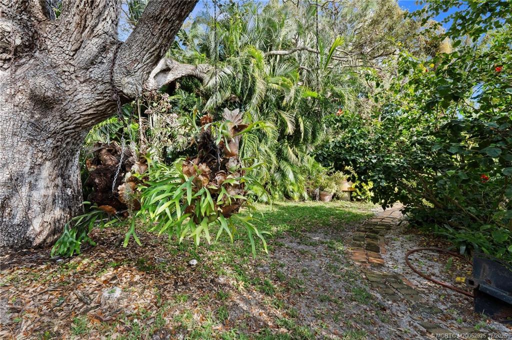 20 Banyan Road Stuart, FL 34996 - Photo 75 of 95 a plant view in yard