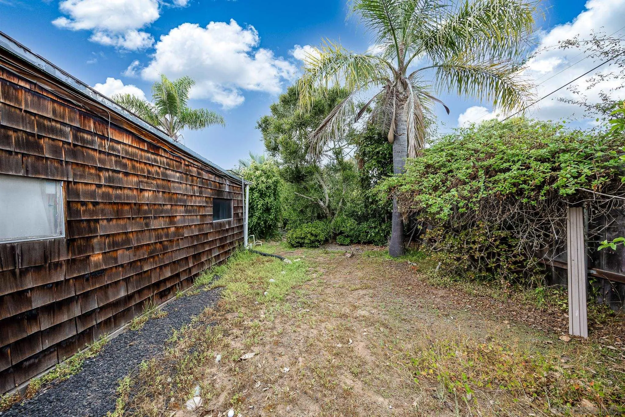 890 Capri Road Encinitas, CA 92024 - Photo 18 of 43 a view of a backyard with plants and large trees