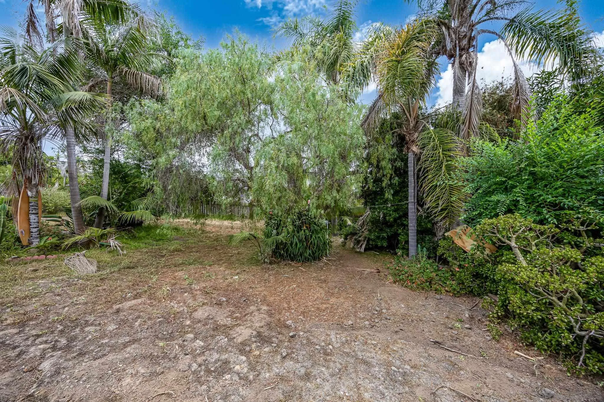890 Capri Road Encinitas, CA 92024 - Photo 21 of 43 a view of a forest with trees in the background