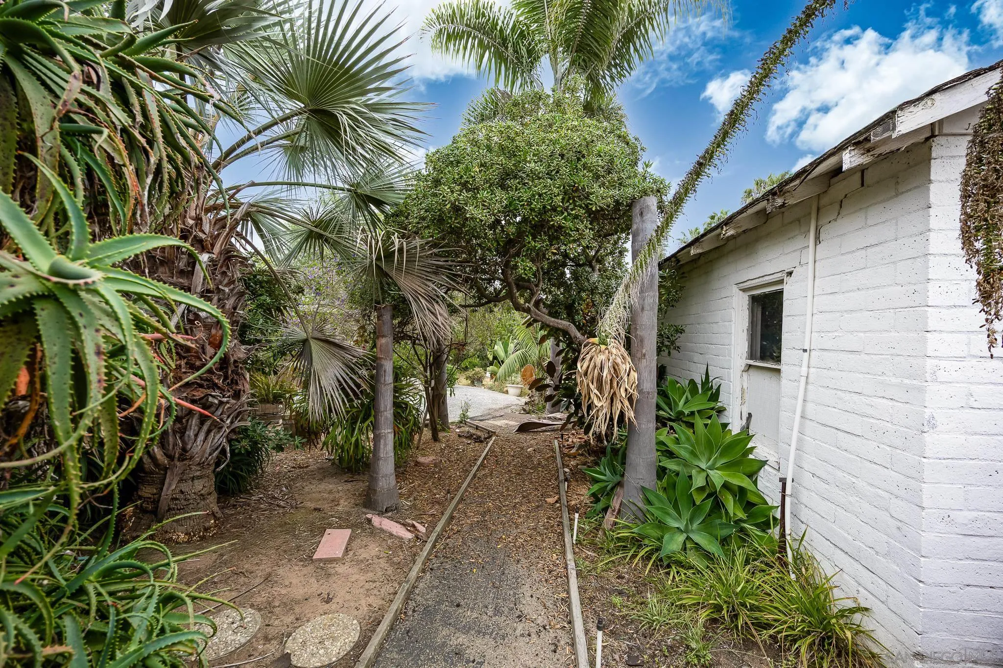 890 Capri Road Encinitas, CA 92024 - Photo 26 of 43 a view of a yard with plants