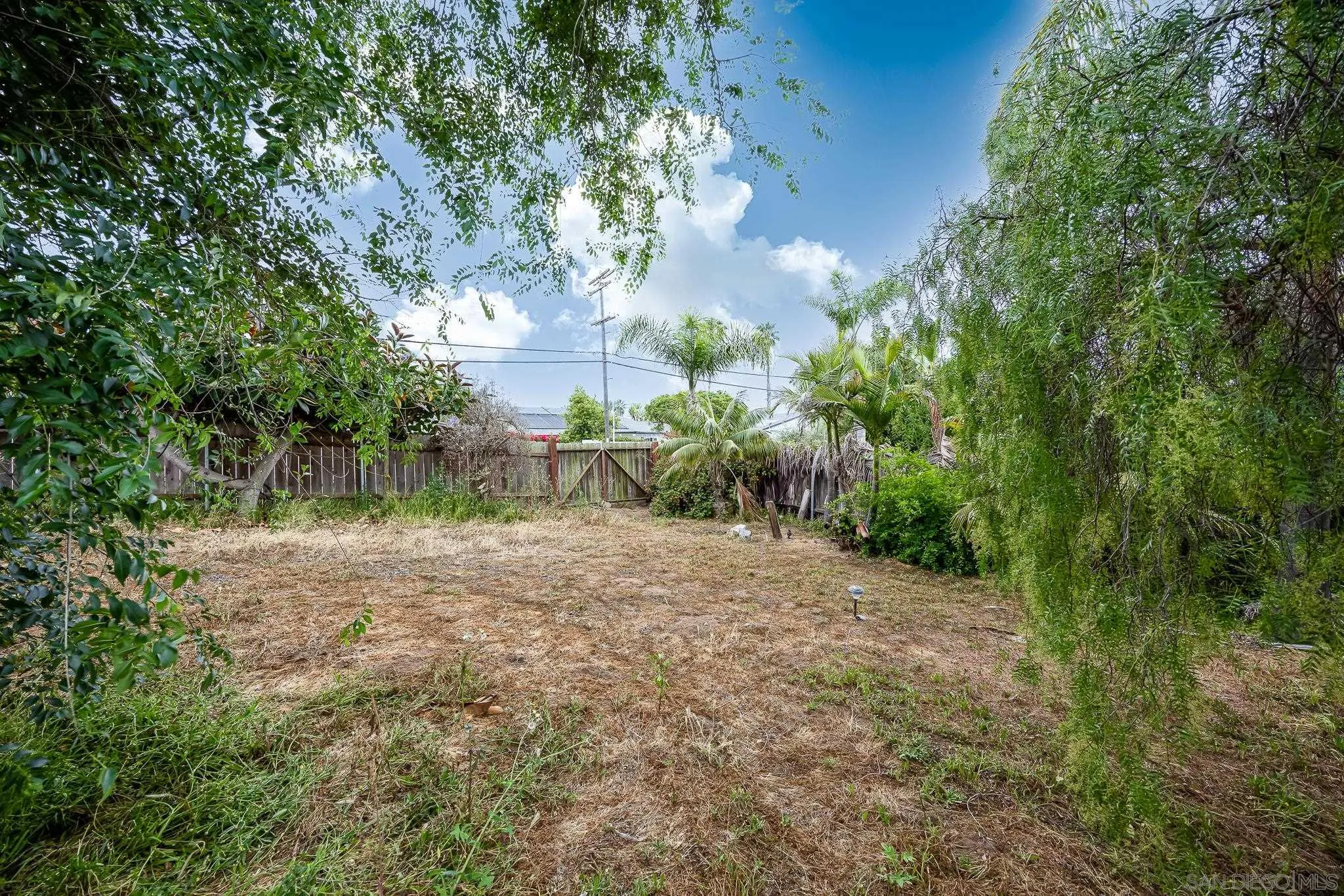 890 Capri Road Encinitas, CA 92024 - Photo 27 of 43 a view of a yard with plants and a large tree