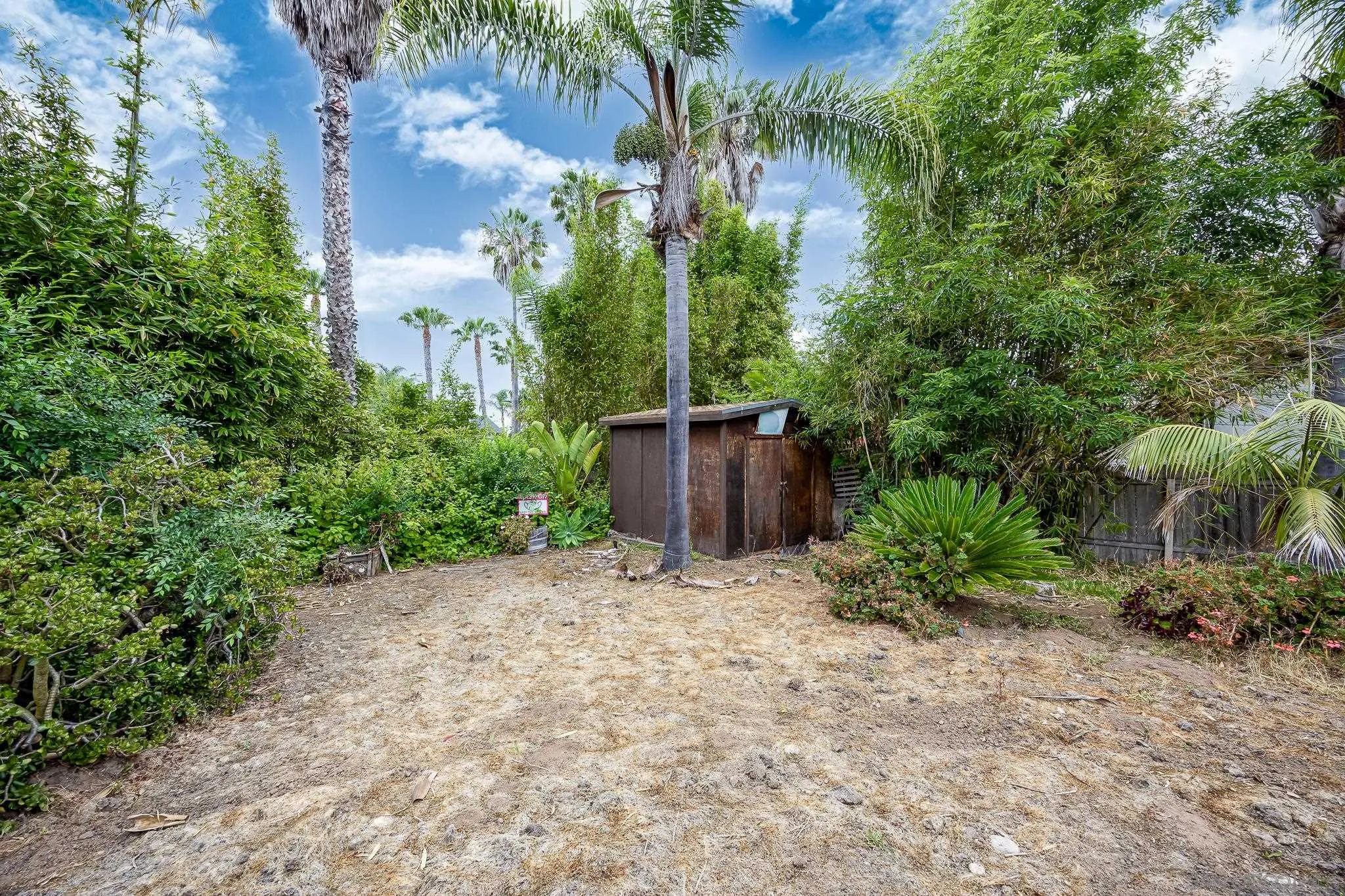 890 Capri Road Encinitas, CA 92024 - Photo 29 of 43 a backyard of a house with lots of green space