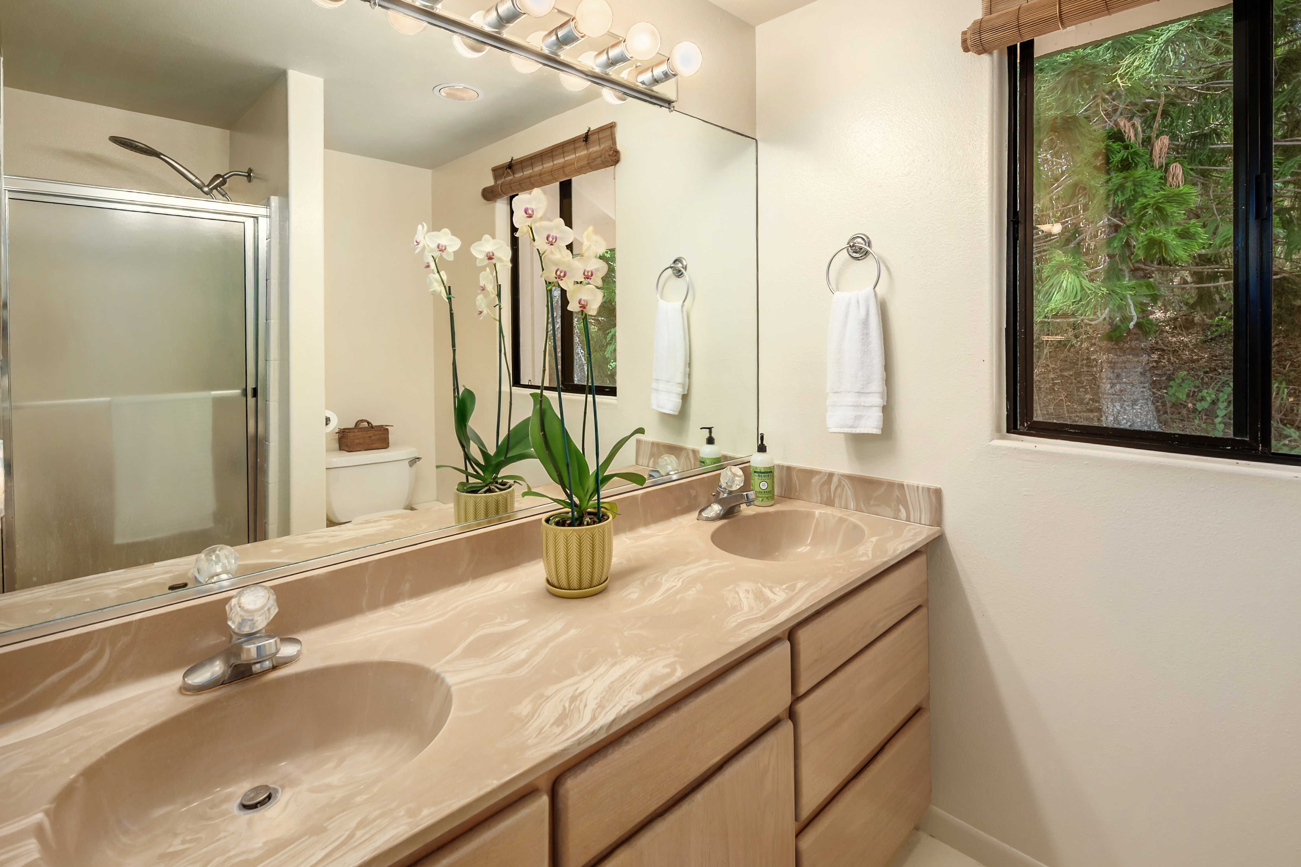 4740 Lae Road Kalaheo, HI 96741 - Photo 12 of 30