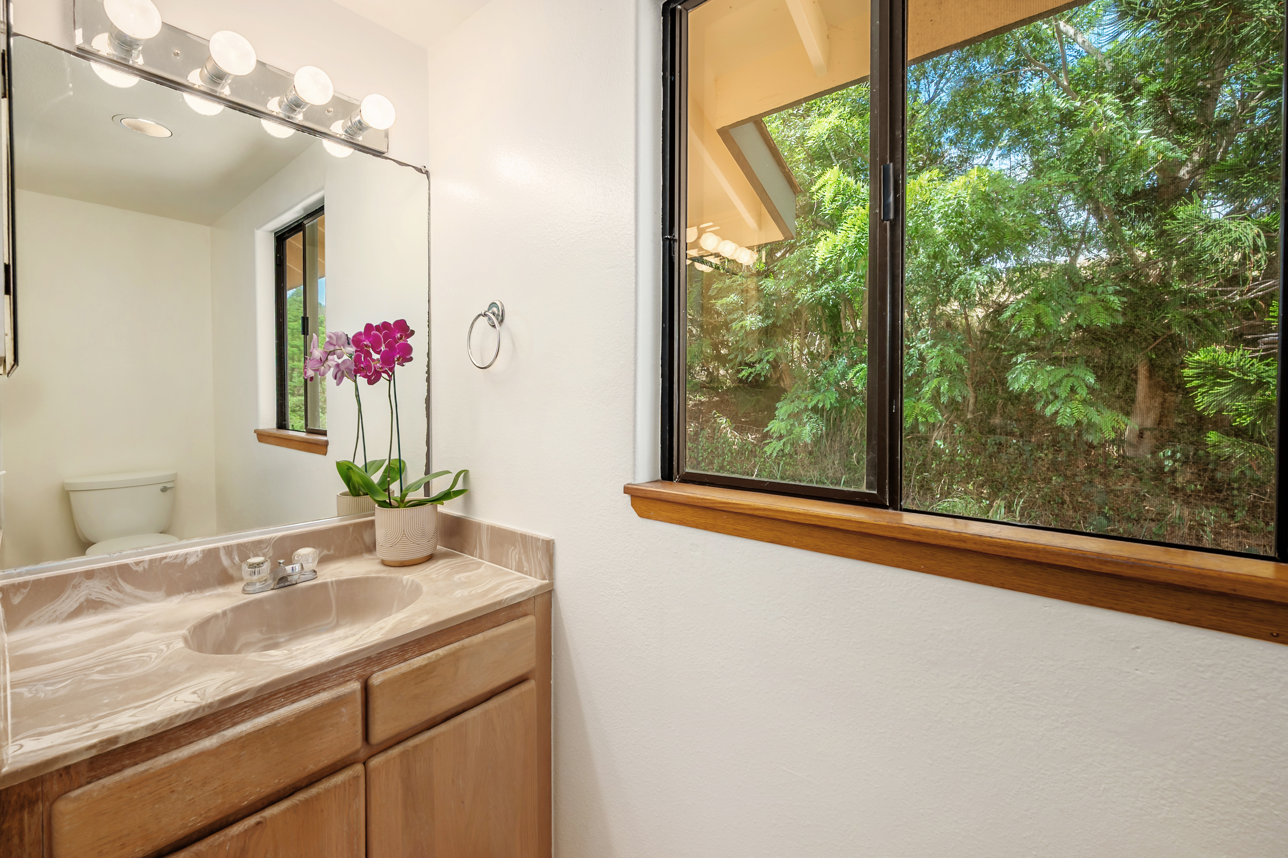 4740 Lae Road Kalaheo, HI 96741 - Photo 17 of 30