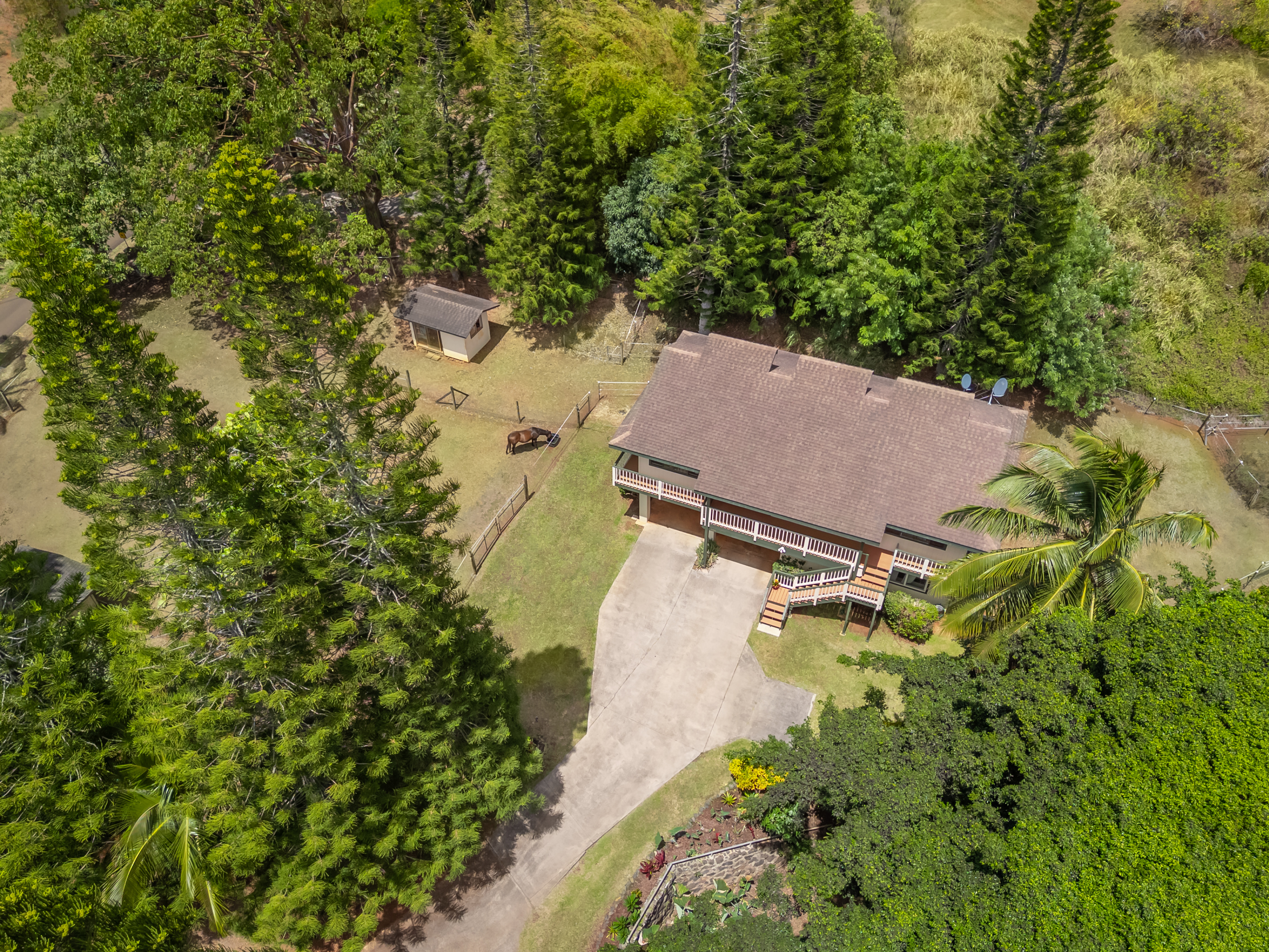 4740 Lae Road Kalaheo, HI 96741 - Photo 21 of 30