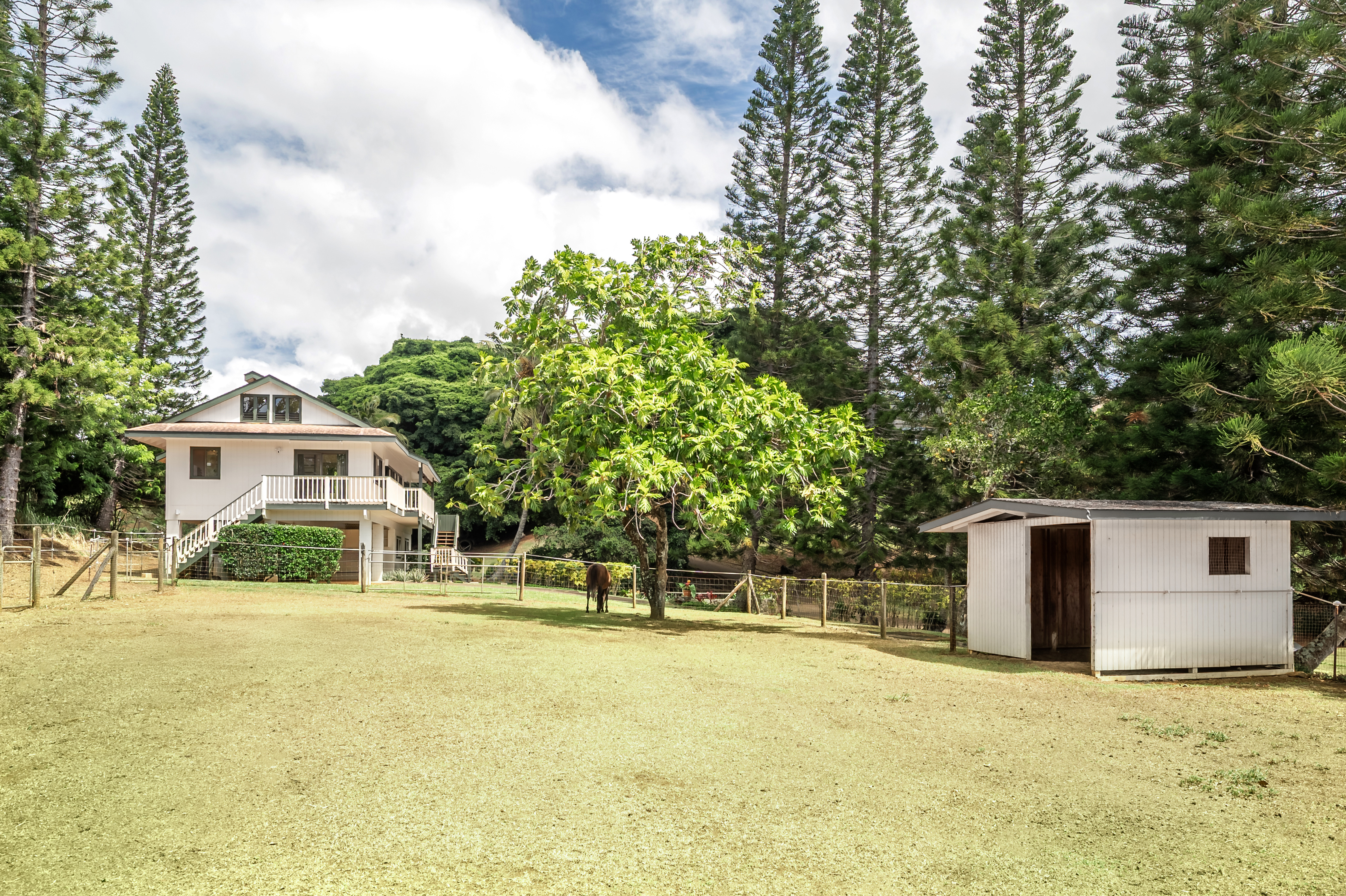 4740 Lae Road Kalaheo, HI 96741 - Photo 24 of 30