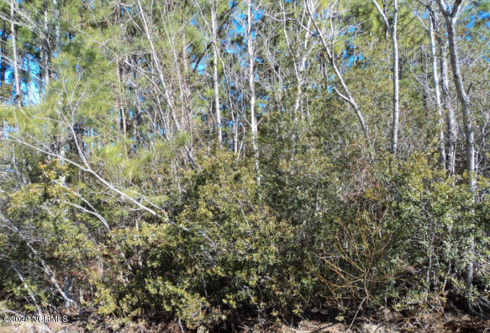 136 Cherry Road Southport, NC 28461 - Photo 1 of 10 CHERRY RD, BSL