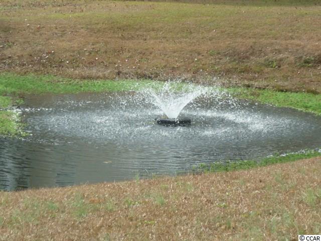6022 Dick Pond Road, Unit 301 Myrtle Beach, SC 29588 - Photo 21 of 22 Gallery Image 21
