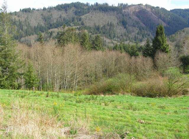 23 Skyview Road Tillamook, OR 97141 - Photo 32 of 41 P3180310