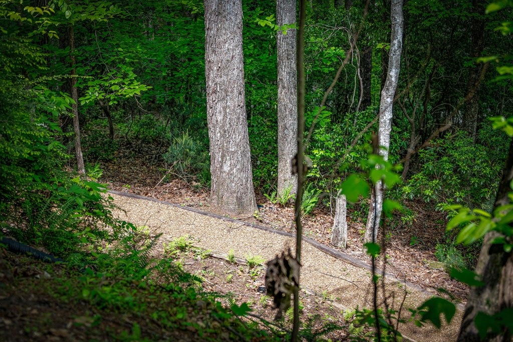 88 Indian Rock Ridge Blue Ridge, GA 30513 - Photo 7 of 54 Gallery Image 7