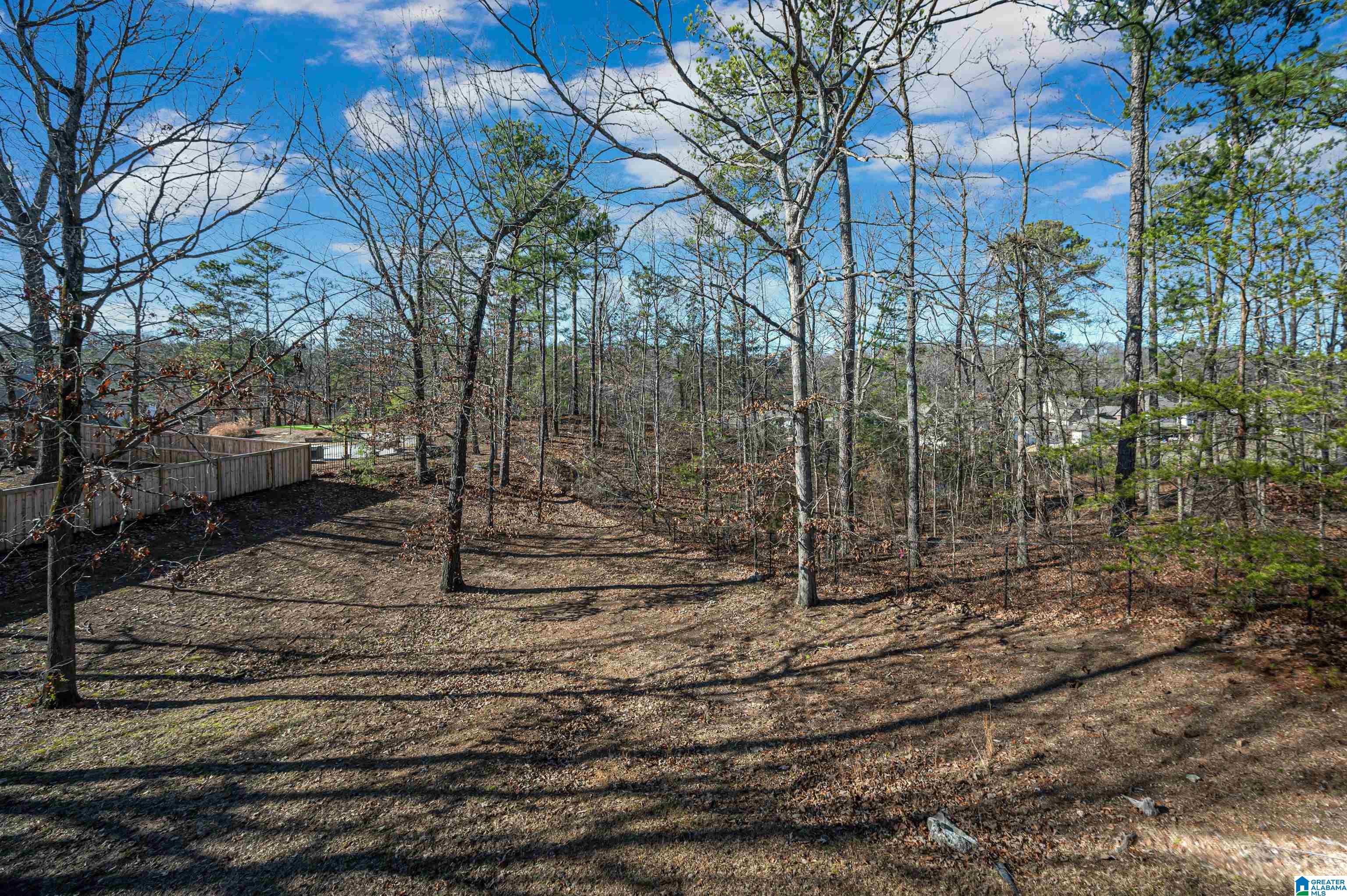 2039 Eagle Point Court Birmingham, AL 35242 - Photo 50 of 62