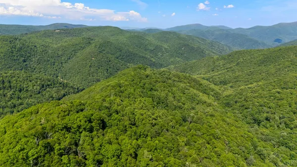 $1,000,000 | 0 Meadows Lane, Montebello, VA 24464