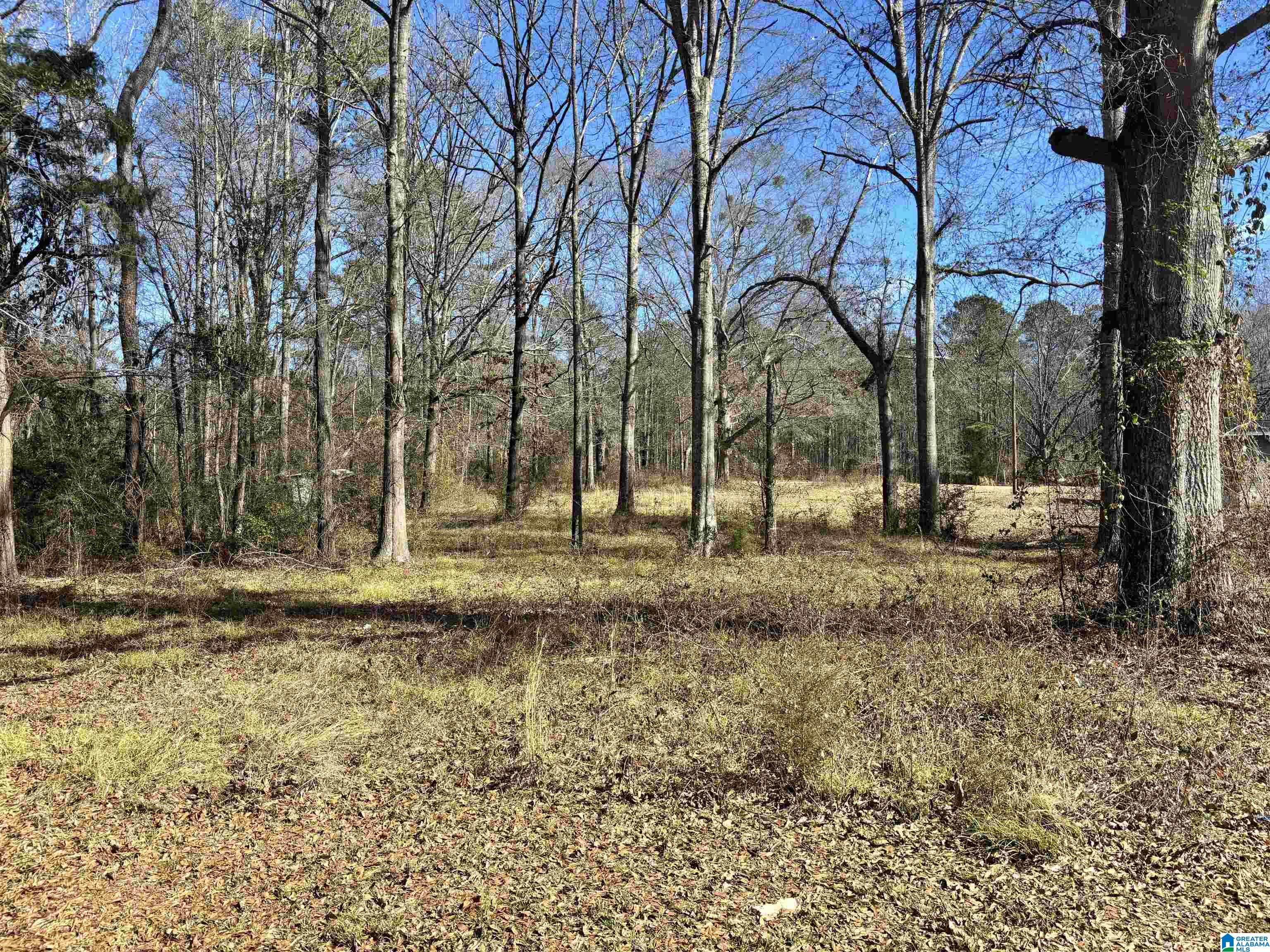 405 Cove Road, Unit 14 Wilsonville, AL 35186 - Photo 1 of 1 Gallery Image 1