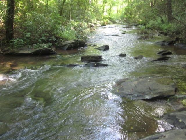 0 Dell Moore Road Marble Hill, GA 30148 - Photo 13 of 18