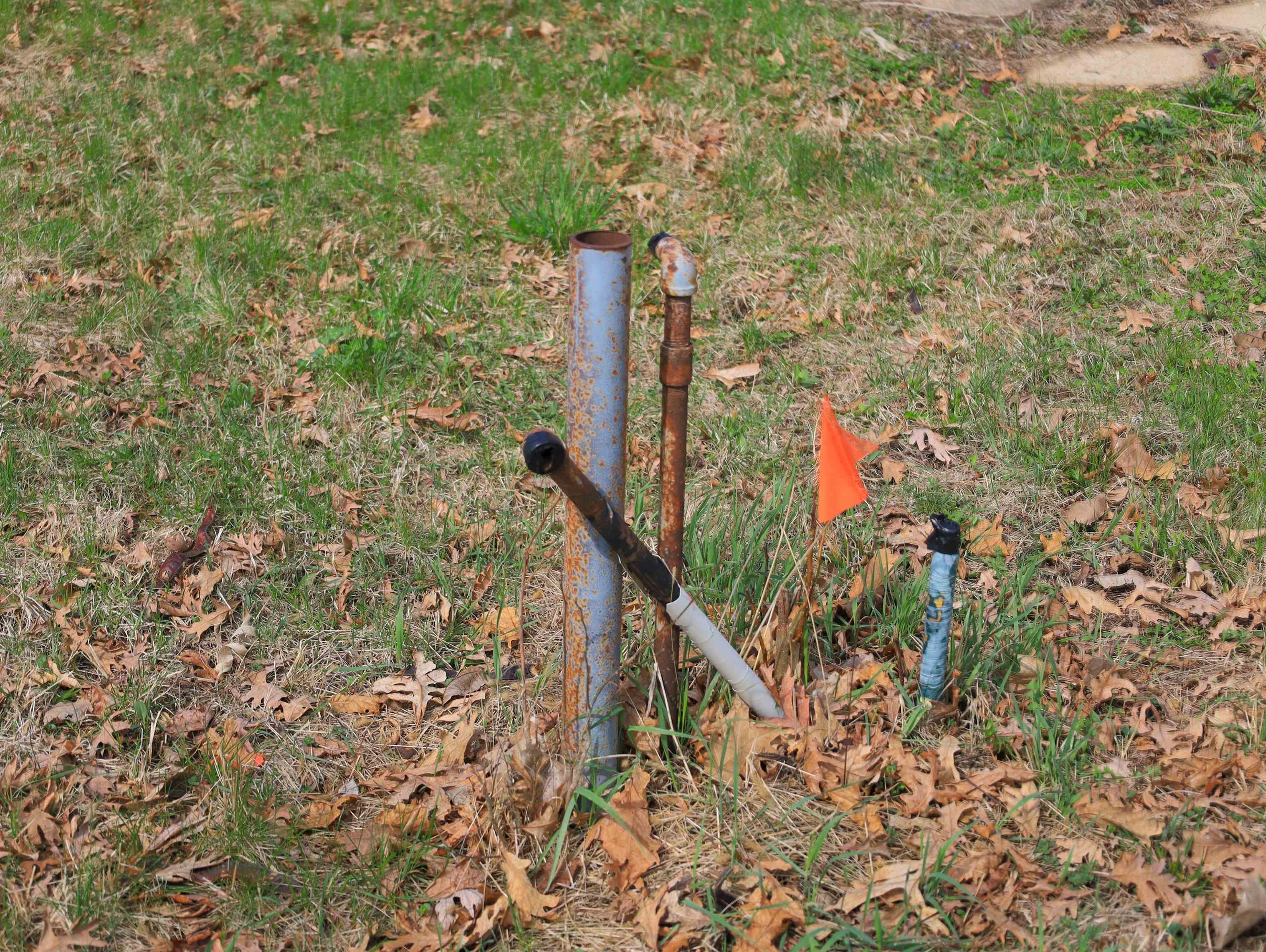 4500 East River Road Ridott, IL 61067 - Photo 49 of 54 a picture of a tree