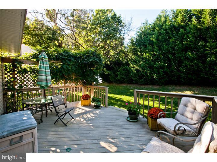 649 Renz Street Philadelphia, PA 19128 - Photo 6 of 25 Deck