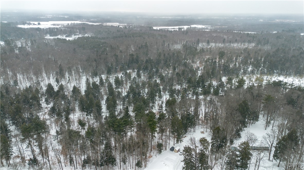 0 Co Rt 10 Pennellville, NY 13132 - Photo 11 of 14