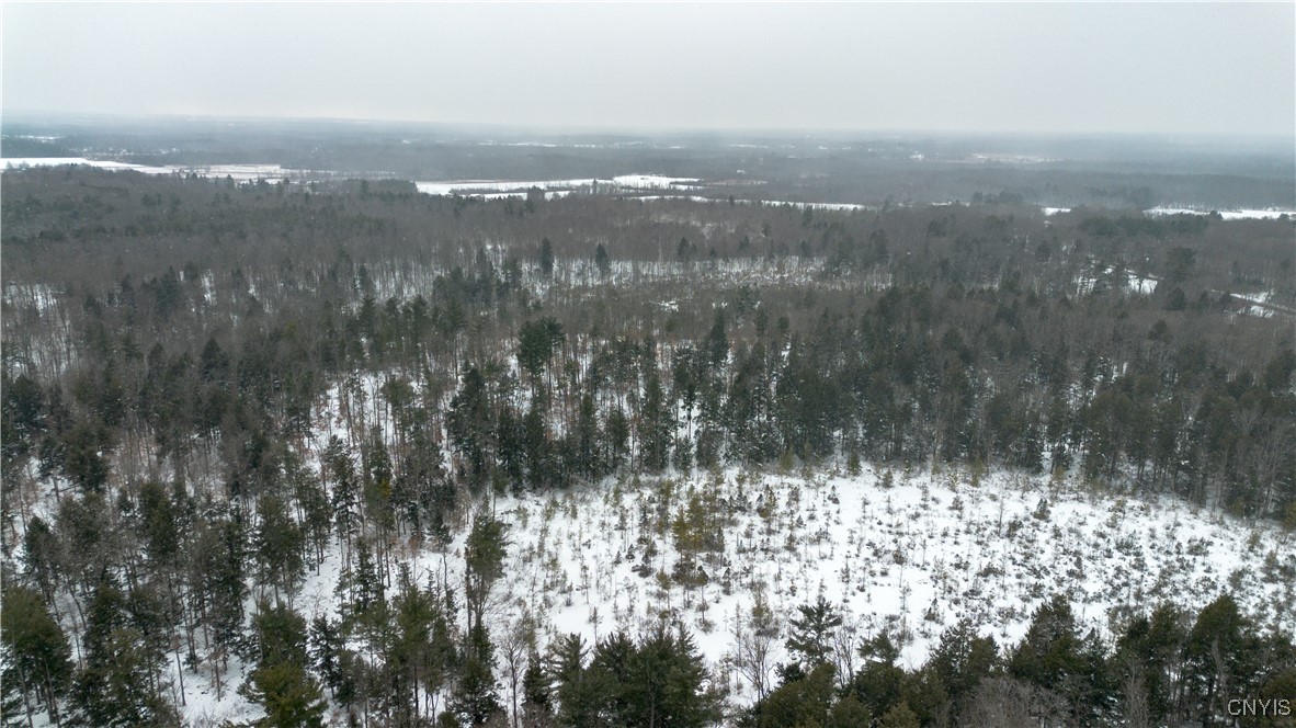 0 Co Rt 10 Pennellville, NY 13132 - Photo 13 of 14