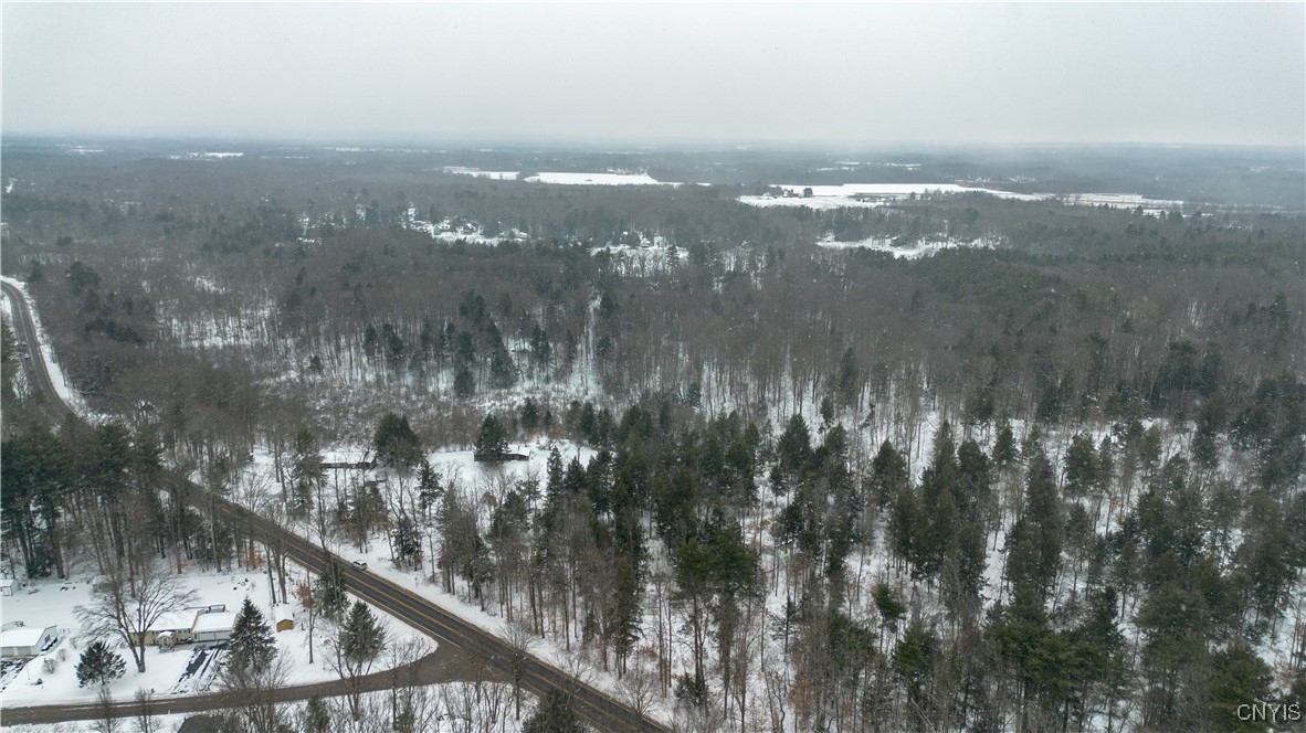 0 Co Rt 10 Pennellville, NY 13132 - Photo 3 of 14