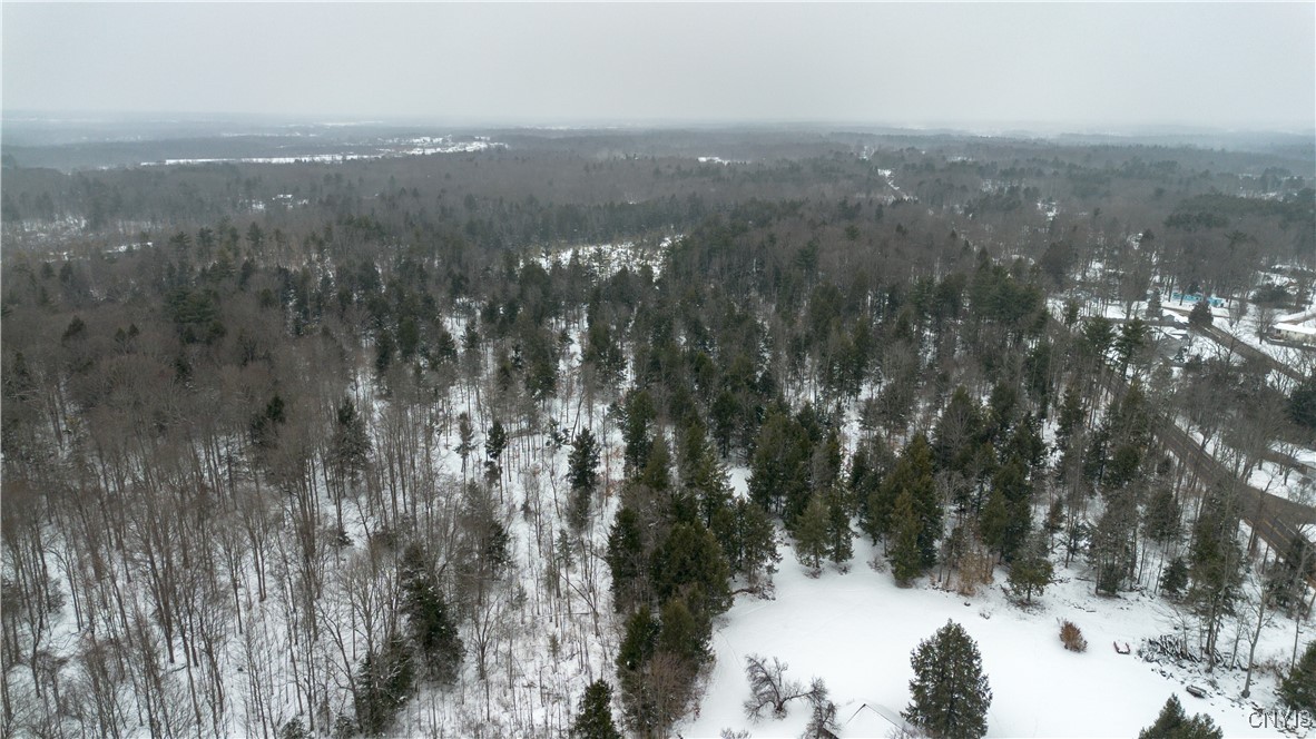 0 Co Rt 10 Pennellville, NY 13132 - Photo 4 of 14