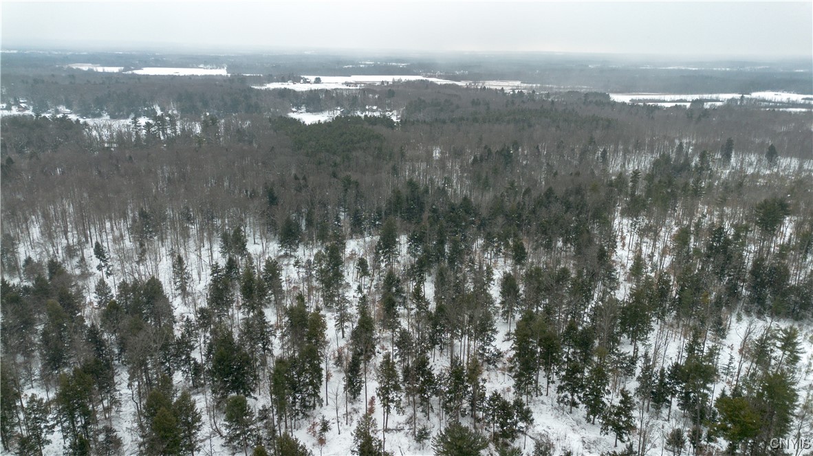 0 Co Rt 10 Pennellville, NY 13132 - Photo 5 of 14