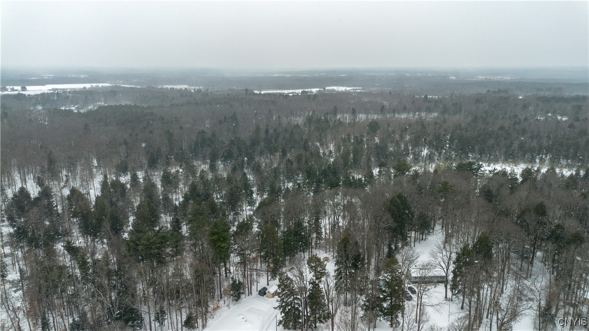 0 Co Rt 10 Pennellville, NY 13132 - Photo 7 of 14