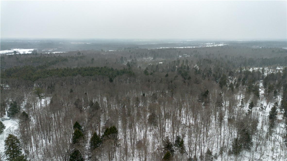 0 Co Rt 10 Pennellville, NY 13132 - Photo 9 of 14