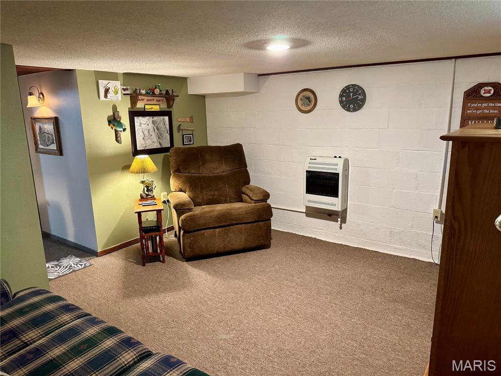 1205 Harrison Street Edwardsville, IL 62025 - Photo 25 of 33