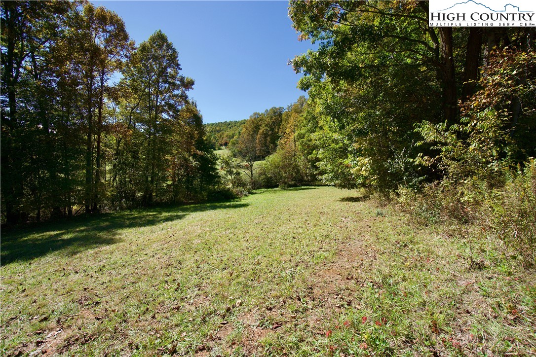 192 Tom Fowler Road Crumpler, NC 28617 - Photo 1 of 34 Gallery Image 1