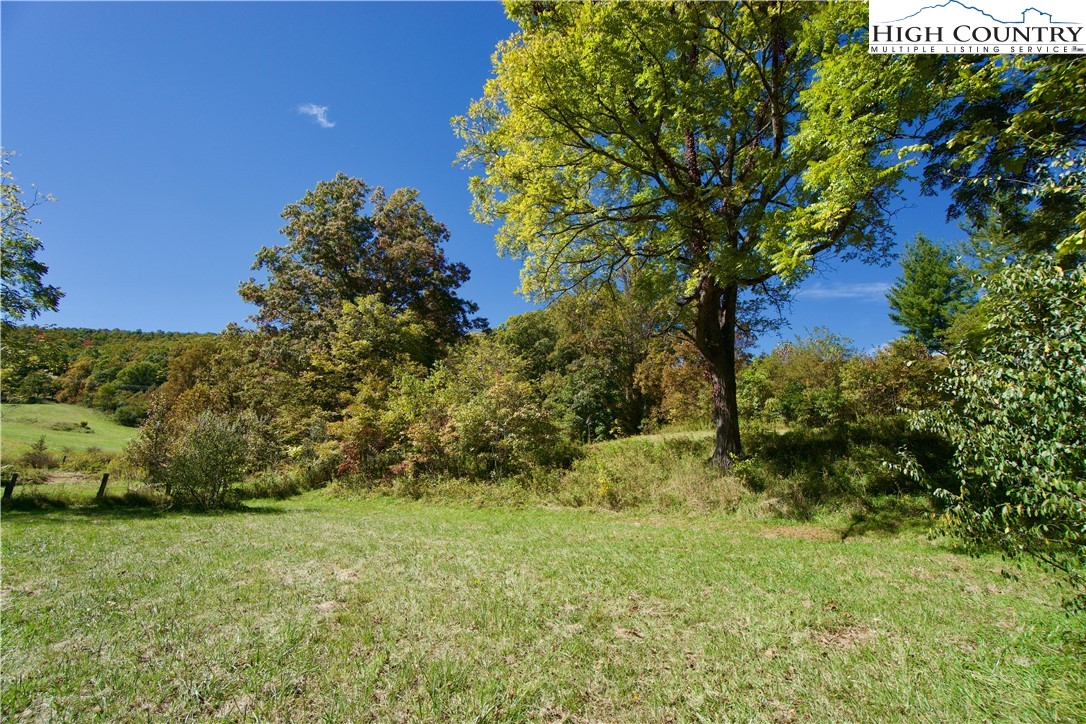 192 Tom Fowler Road Crumpler, NC 28617 - Photo 12 of 34 Gallery Image 12