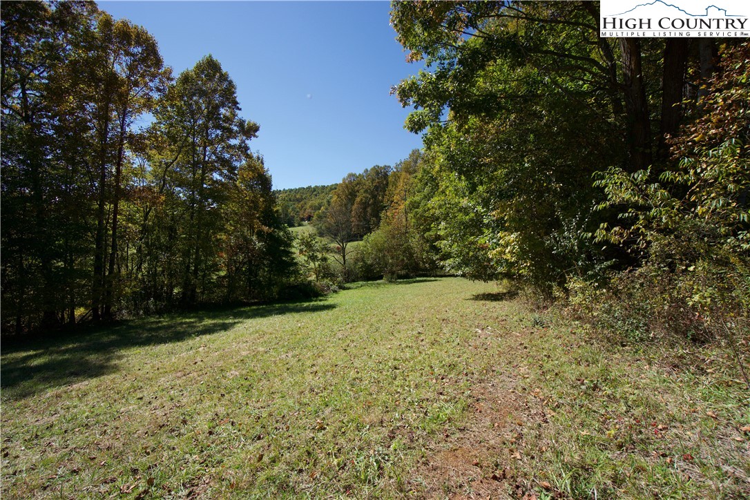 192 Tom Fowler Road Crumpler, NC 28617 - Photo 2 of 34 Gallery Image 2
